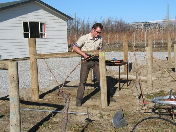 Tim Austin-Moorhouse (Mount Edward) 2008 regional winner, building a trellis during last year�s competition.